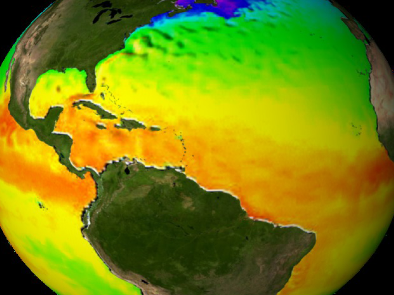 Global view of sea surface temperature